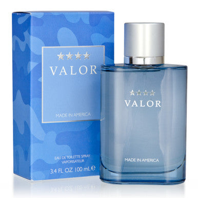 DANA VALOR 3.4 EAU DE TOILETTE SPRAY FOR MEN by DANA